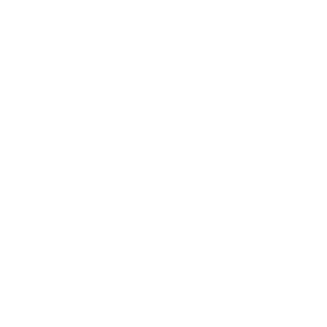 commercial vehicles